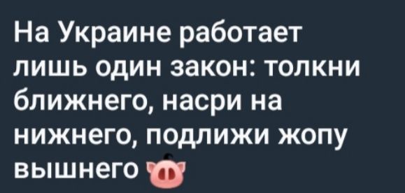 На Украине работает лишь один закон: толкни ближнего, насри на нижнего, подложи жопу вышнего 🐷