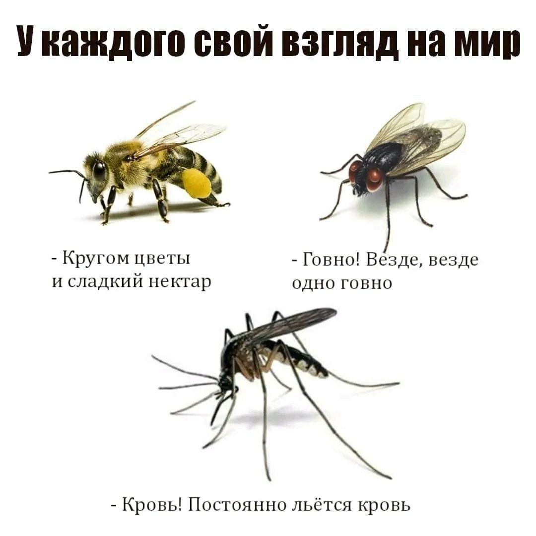 У каждого свой взгляд на мир

- Кругом цветы и сладкий нектар
- Говно! Везде, везде одно говно
- Кровь! Постоянно льётся кровь