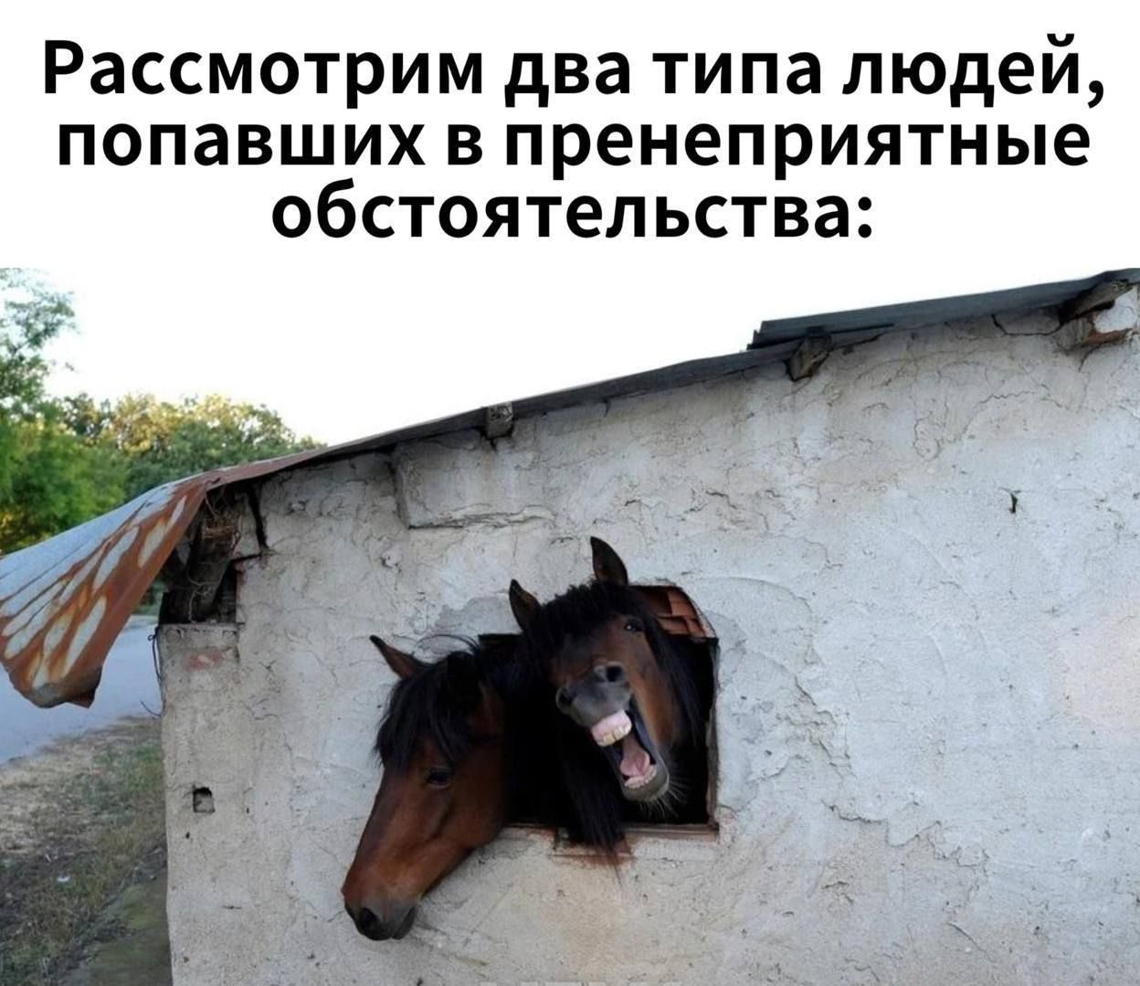 Рассмотрим два типа людей, попавших в непрепятственные обстоятельства: