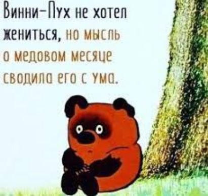 Винни-Пух не хотел жениться, но мысль о медовом месяце сводила его с ума.