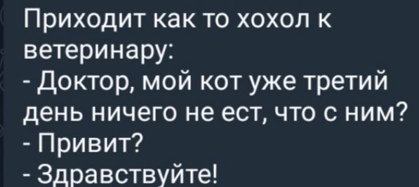 Приходит как то хохол к ветеринару:
- Доктор, мой кот уже третий день ничего не ест, что с ним?
- Привет?
- Здравствуйте!