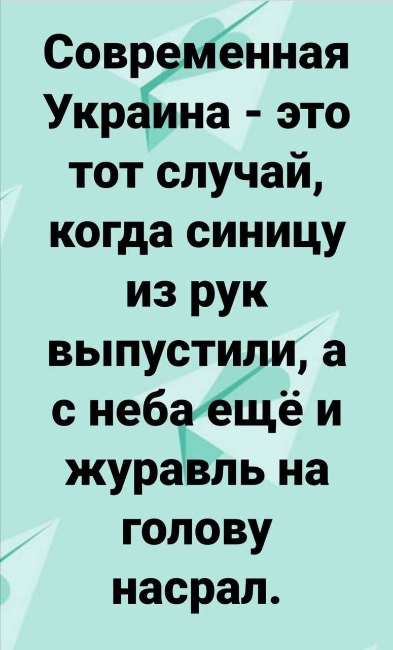Современная Украина - это тот случай, когда синицу из рук выпустили, а с неба ещё и журавль на голову насрал.