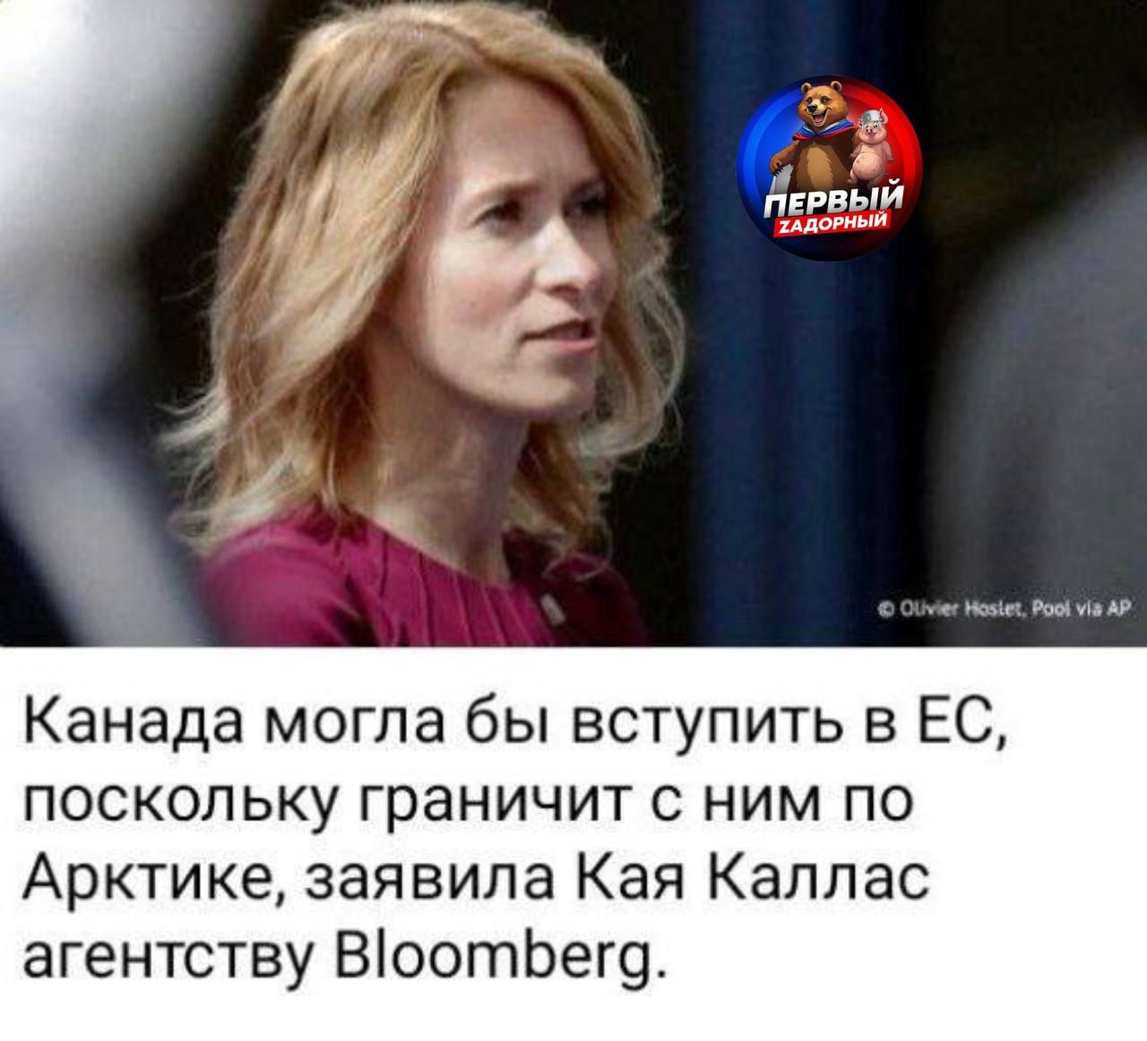 Канада могла бы вступить в ЕС, поскольку граничит с ним по Арктике, заявила Кая Каллас агентству Bloomberg.