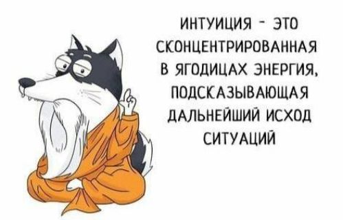 ИНТУИЦИЯ - ЭТО СКОНЦЕНТРИРОВАННАЯ В ЯГОДИЦАХ ЭНЕРГИЯ, ПОДСКАЗЫВАЮЩАЯ ДАЛЬНЕЙШИЙ ИСХОД СИТУАЦИЙ