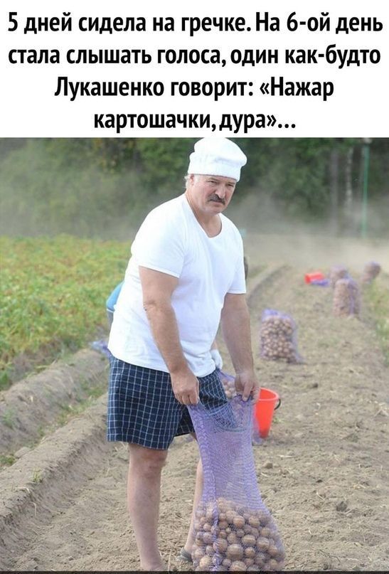 5 дней сидела на гречке. На 6-ой день стала слышать голоса, один как-будто Лукашенко говорит: «Нажар картошачки, дура»...