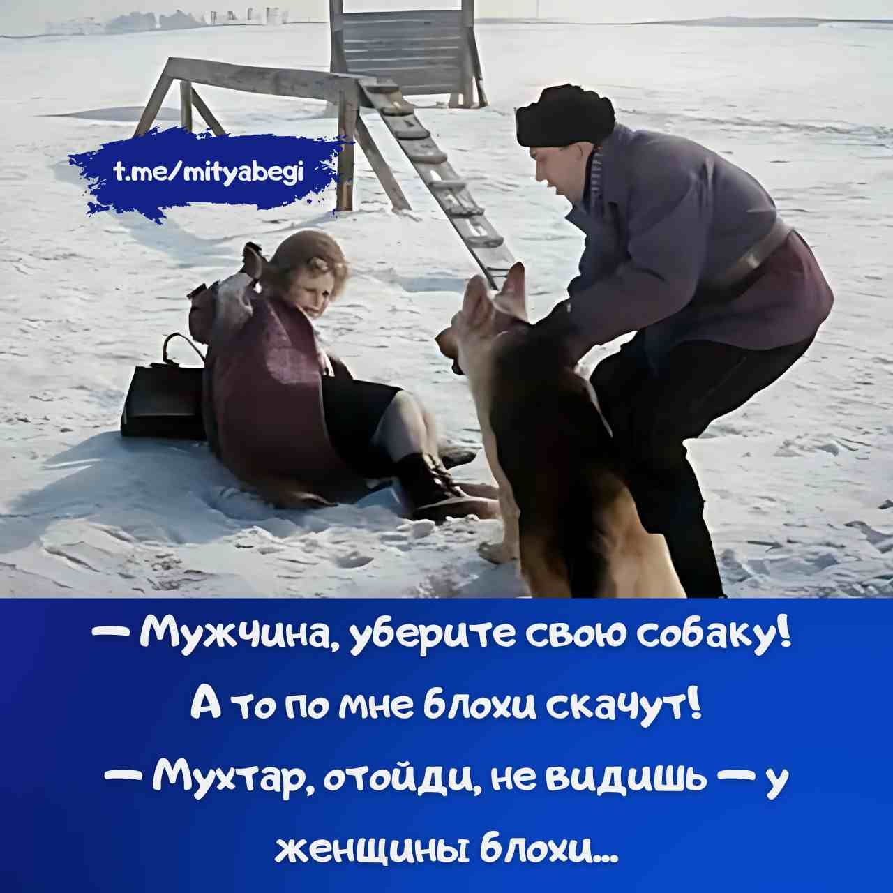 — Мужчина, уберите свою собаку! А то по мне блохи скачут! — Мухтар, отойди, не видишь — у женщины блохи...