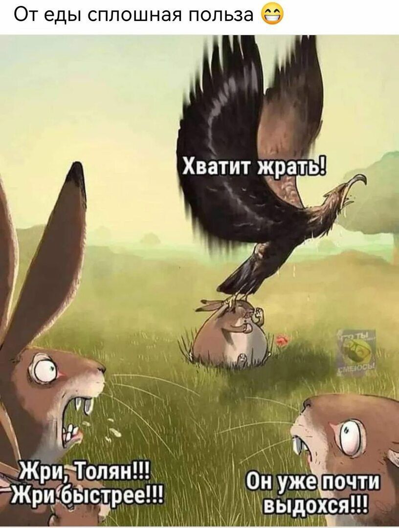 От еды сплошная польза 😊
Хватит жрать!
Жри, Толян!!!
Жри быстрее!!!
Он уже почти выдохся!!!