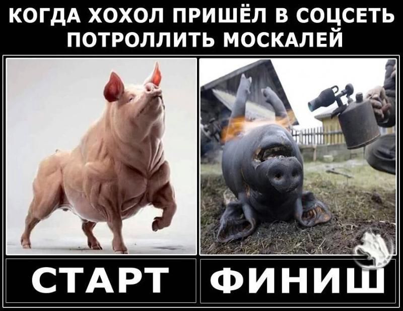 Когда хохол пришёл в соц сеть потроллить москалей
СТАРТ
ФИНИШ