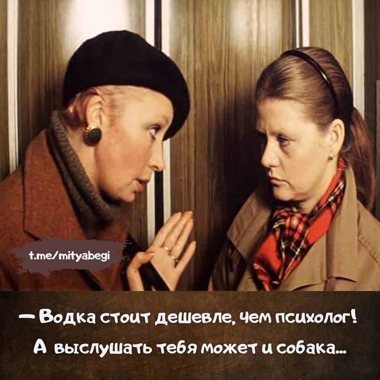— Vodka costs less than a psychologist! And a dog can listen to you...