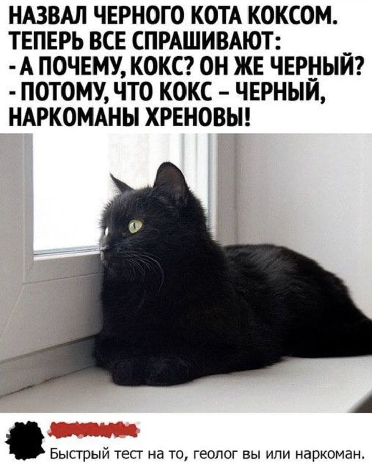 НАЗВАЛ ЧЕРНОГО КОТА КОКСОМ. ТЕПЕРЬ ВСЕ СПРАШИВАЮТ:
-А ПОЧЕМУ, КОКС? ОН ЖЕ ЧЕРНЫЙ?
- ПОТОМУ, ЧТО КОКС – ЧЕРНЫЙ, НАРКОМАНЫ ХРЕНОВЫ!

БЫСТРЫЙ ТЕСТ НА ТО, ГЕОЛОГ ВЫ ИЛИ НАРКОМАН.