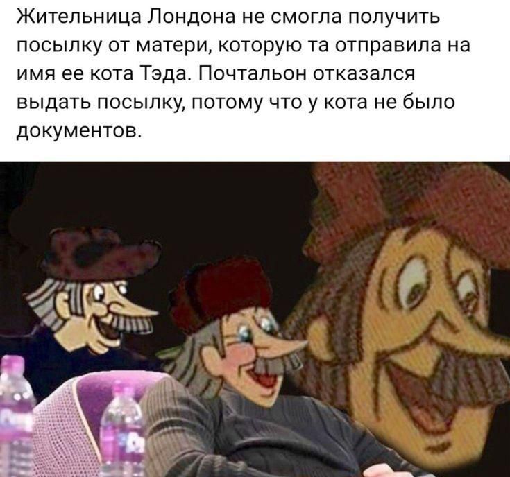Жительница Лондона не смогла получить посылку от матери, которую та отправила на имя её кота Тэда. Почтальон отказался выдать посылку, потому что у кота не было документов.