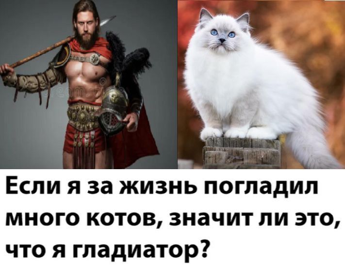 Если я за жизнь погладил много котов, значит ли это, что я гладиатор?
