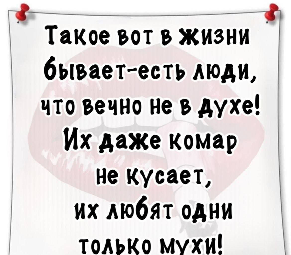 Такое вот в жизни бывает-есть люди, что вечно не в духе! Их даже комар не кусает, их любят одни только мужи!