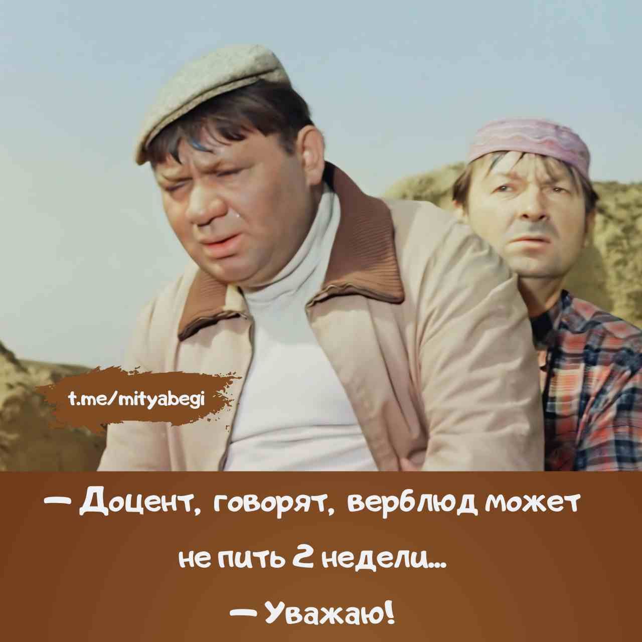 — Доцент, говорят, верблюд может не пить 2 недели...
— Уважаю!