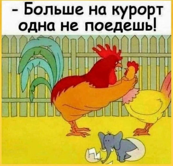 – Больше на курорт одна не поедешь!