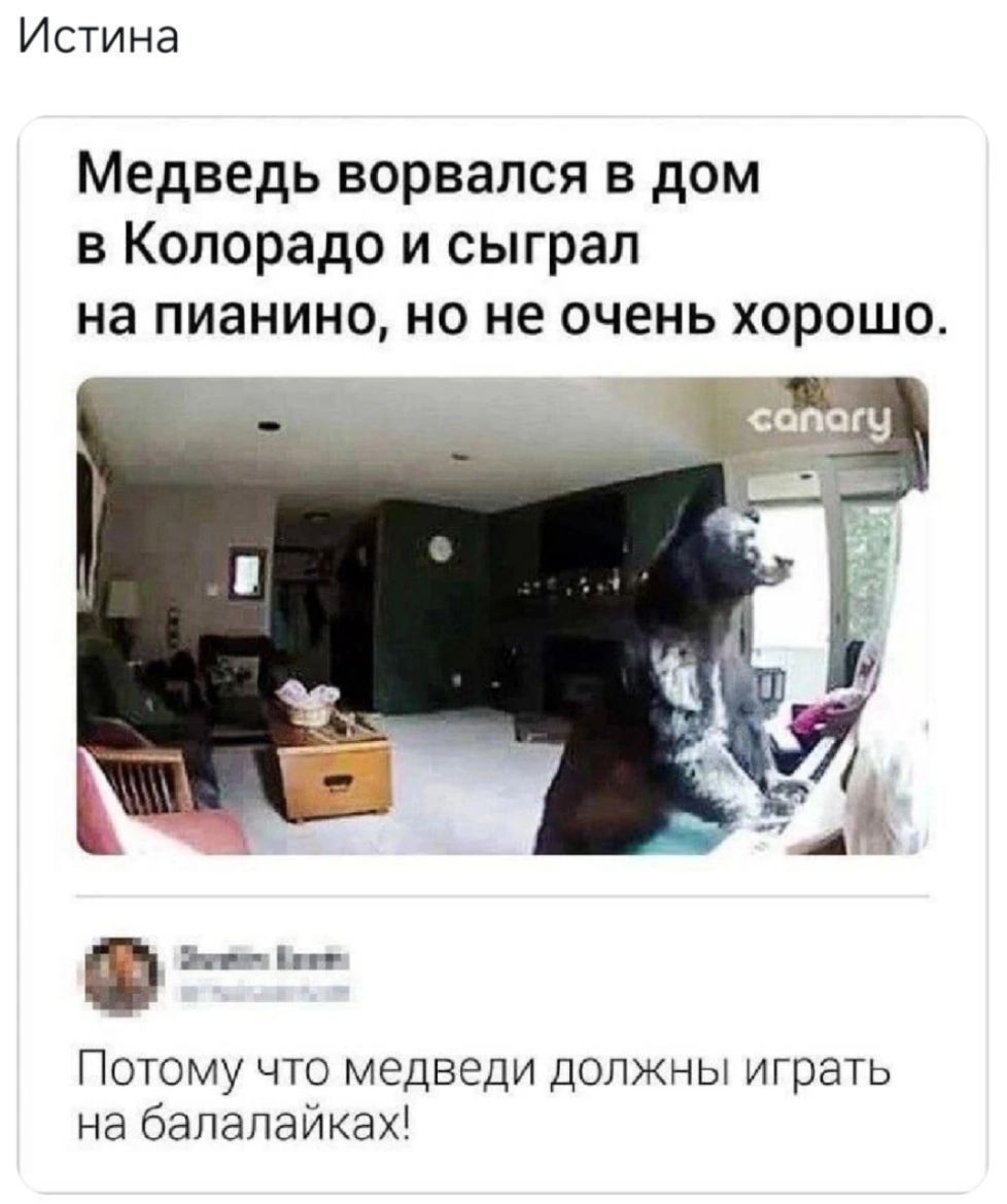 Медведь ворвался в дом в Колорадо и сыграл на пианино, но не очень хорошо.
Потому что медведи должны играть на балалайках!