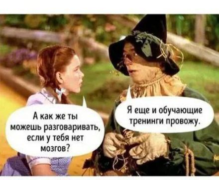 А как же ты можешь разговаривать, если у тебя нет мозгов? Я еще и обучающие тренинги провожу.