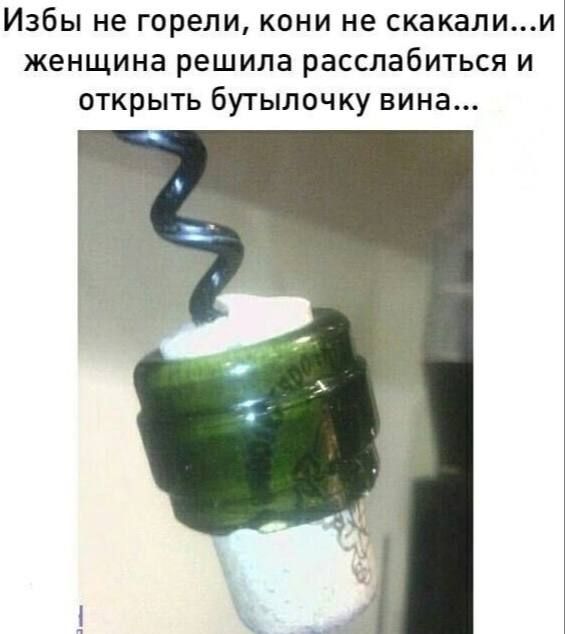 Избы не горели, кони не скакали...и женщина решила расслабиться и открыть бутылочку вина...