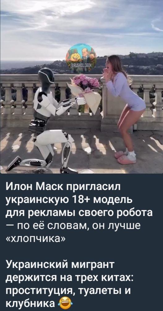 Илон Маск пригласил украинскую 18+ модель для рекламы своего робота — по её словам, он лучше «хлопчика». Украинский мигрант держится на трёх китах: проститутция, туалеты и клубника.