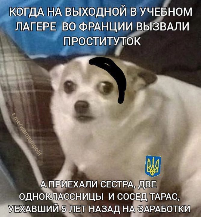 КОГДА НА ВЫХОДНОЙ В УЧЕБНОМ ЛАГЕРЕ ВО ФРАНЦИИ ВЫЗВАЛИ ПРОСТИТУТОК
А ПРИЕХАЛИ СЕСТРА, ДВЕ ОДНОКЛАССНИЦЫ И СОСЕД ТАРАС, УЕХАВШИЙ 5 ЛЕТ НАЗАД НА ЗАРАБОТКИ