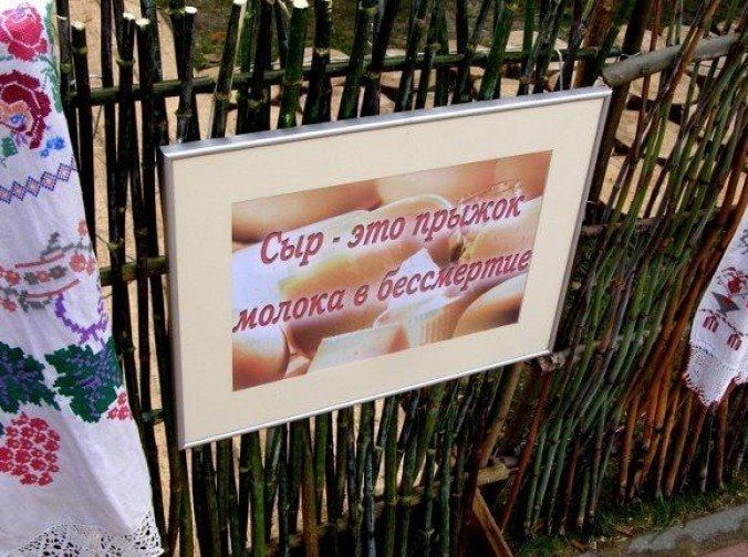 Сыр - это прыжок молока в бессмертие