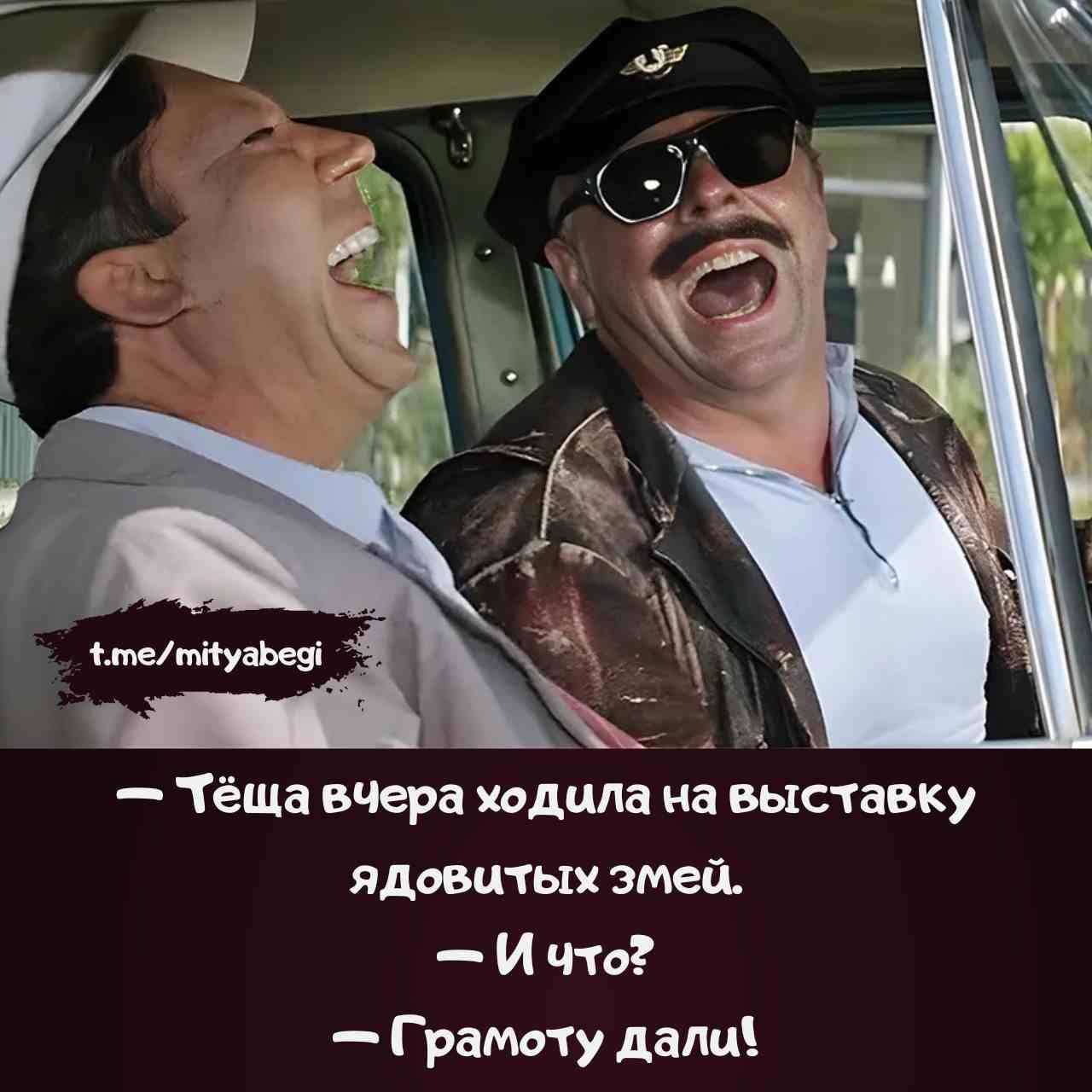 — Тёща вчера ходила на выставку ядовитых змей.
— И что?
— Грамоту дали!