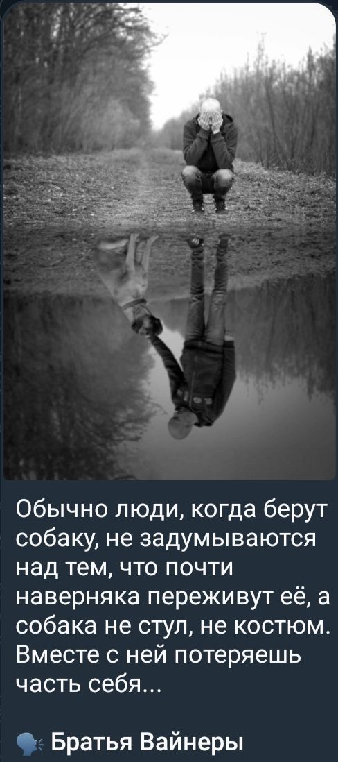 Обычно люди, когда берут собаку, не задумываются над тем, что почти наверняка переживут её, а собака не стул, не костюм. Вместе с ней потеряешь часть себя...

Братья Вайнеры
