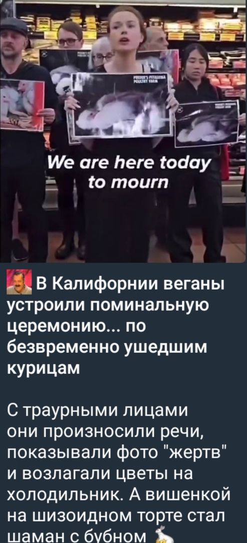 В Калифорнии веганы устроили поминальную церемонию... по безвременно ушедшим курицам
С траурными лицами они произносили речи, показывали фото 