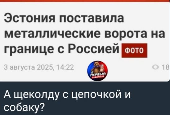Эстония поставила металлические ворота на границе с Россией. 3 августа 2025, 14:22. А щеколду с цепочкой и собакой?