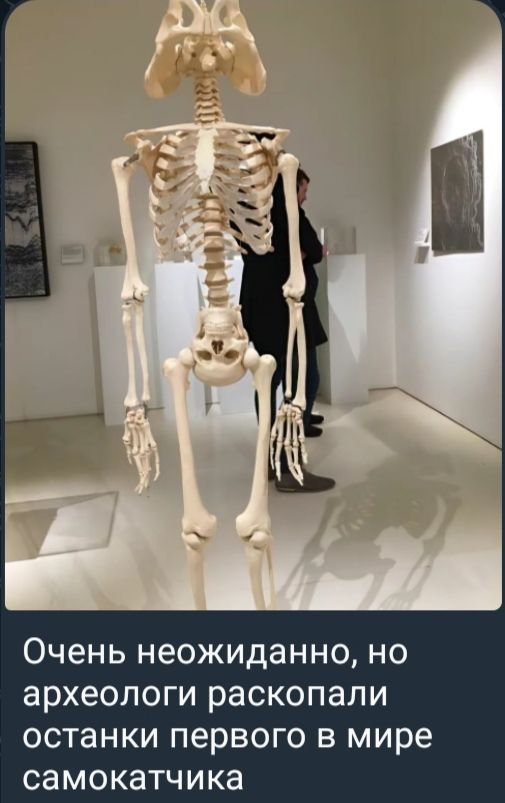 Очень неожиданно, но археологи раскопали останки первого в мире самокатчика