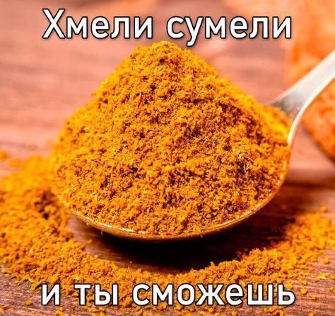 Хмели сумели и ты сможешь