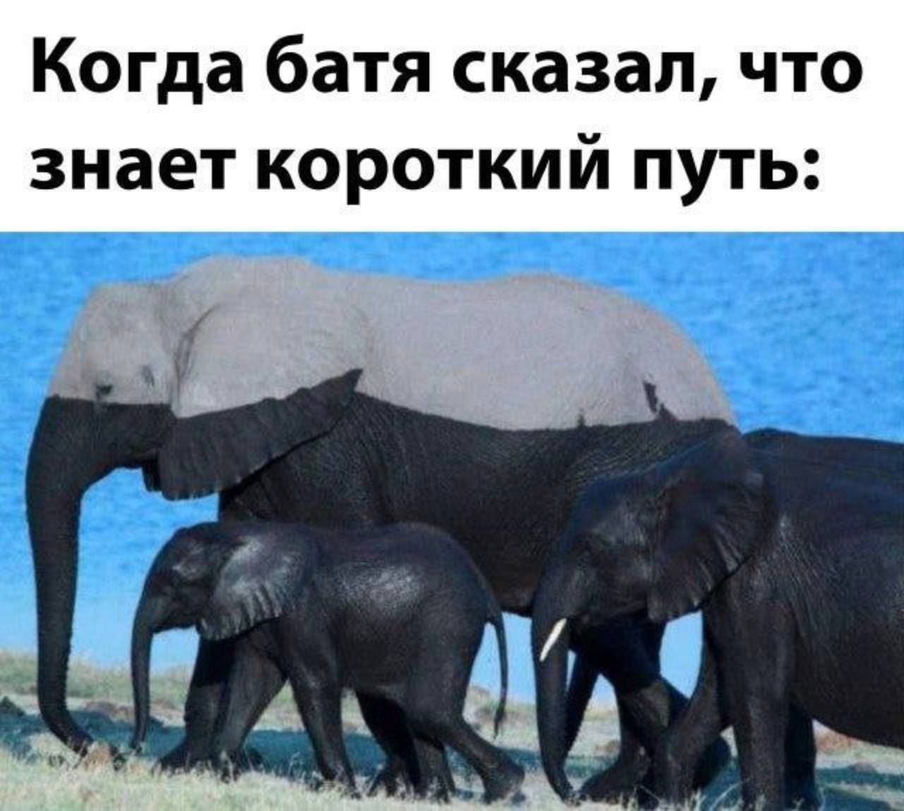 Когда батя сказал, что знает короткий путь: