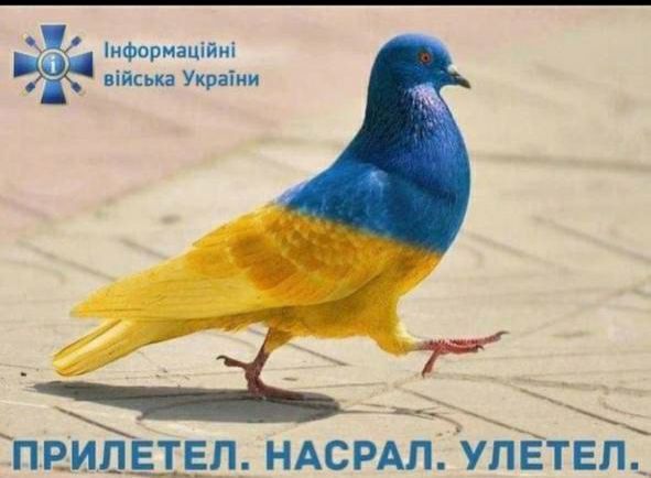 ПРИЛЕТЕЛ. НАСРАЛ. УЛЕТЕЛ.