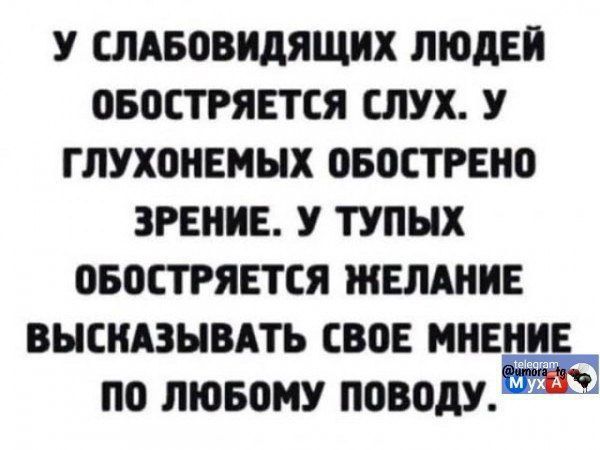 У слабовидящих людей обостряется слух. У глухонемых обострено зрение. У тупых обостряется желание высказывать свое мнение по любому поводу.