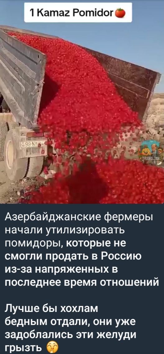 1 Kamaz Pomidor

Азербайджанские фермеры начали утилизировать помидоры, которые не смогли продать в Россию из-за напряжённых в последнее время отношений

Лучше бы хохлам бедным отдали, они уже задолбались эти желудь грызть.