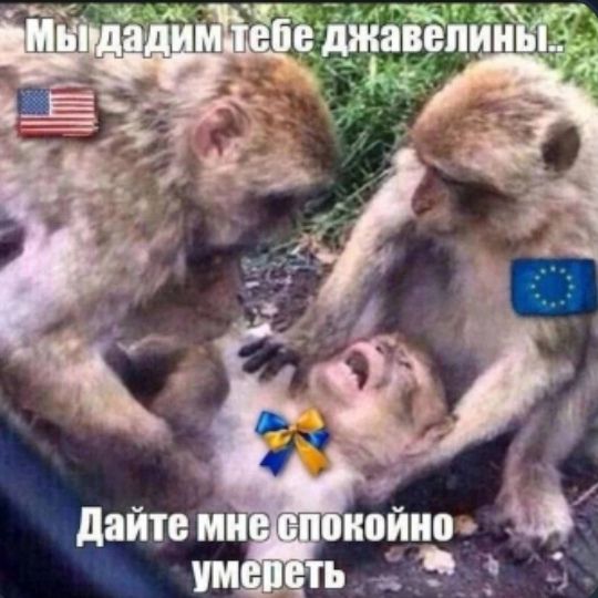Мы дадим тебе джавелины!.. Дайте мне спокойно умереть