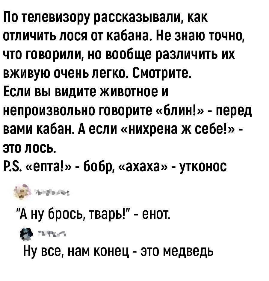 По телевизору рассказывали, как отличить лося от кабана. Не знаю точно, что говорили, но вообще различить их вживую очень легко. Смотрите. Если вы видите животное и непроизвольно говорите «блин!» - перед вами кабан. А если «нихрена ж себе!» - это лось.
P.S. «епта!» - бобр, «ахааха» - утконос

