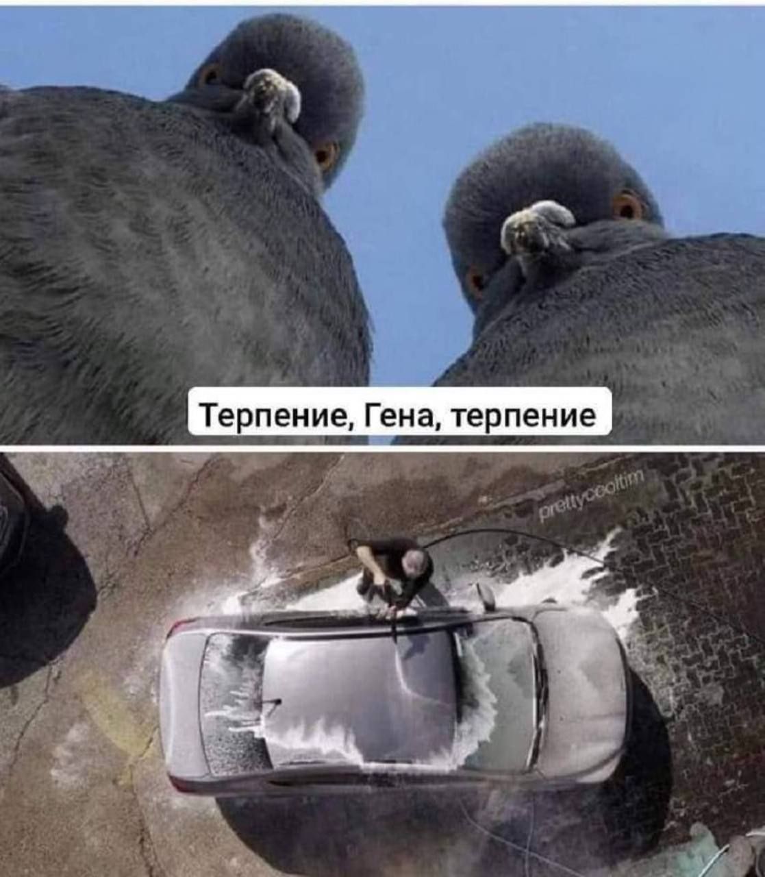 Терпение, Гена, терпение