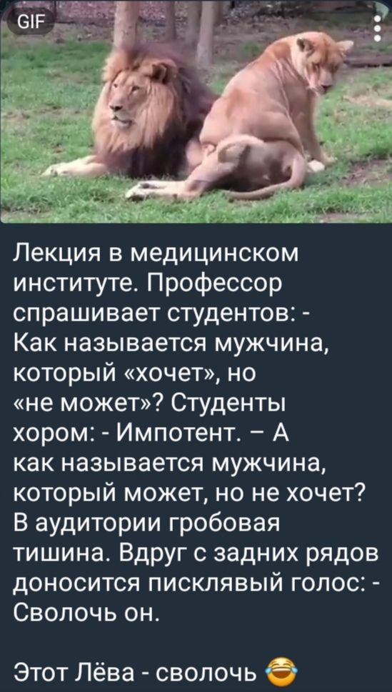 Лекция в медицинском институте. Профессор спрашивает студентов: - Как называется мужчина, который «хочет», но «не может»? Студенты хором: - Импотент. – А как называется мужчина, который может, но не хочет? В аудитории гробовая тишина. Вдруг с задних рядов доносится писклявый голос: - Сволочь он. Этот Льва - сволочь 😂
