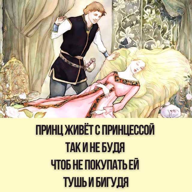 ПРИНЦ ЖИВЁТ С ПРИНЦЕССОЙ ТАК И НЕ БУДЬ ЧТОБ НЕ ПОКУПАТЬ ЕЙ ТУШЬ И БИГУДИ