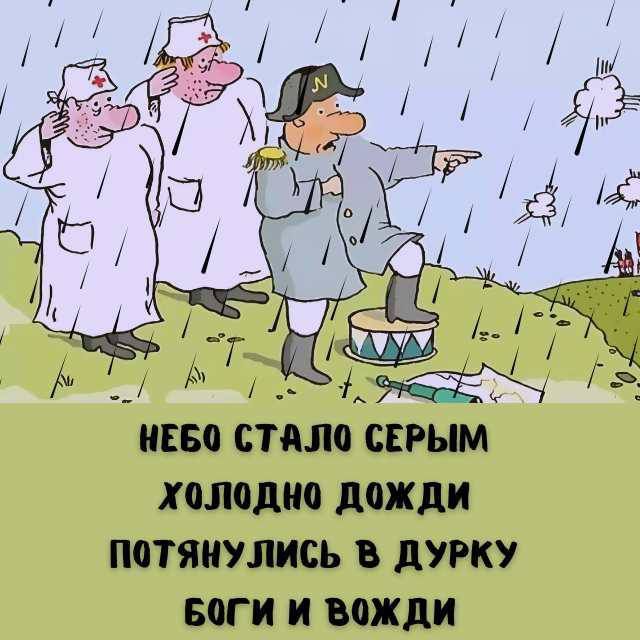 НЕБО СТАЛО СЕРЫМ ХОЛОДНО ДОЖДИ ПОТЯНУЛИСЬ В ДУРКУ БОГИ И ВОЖДИ
