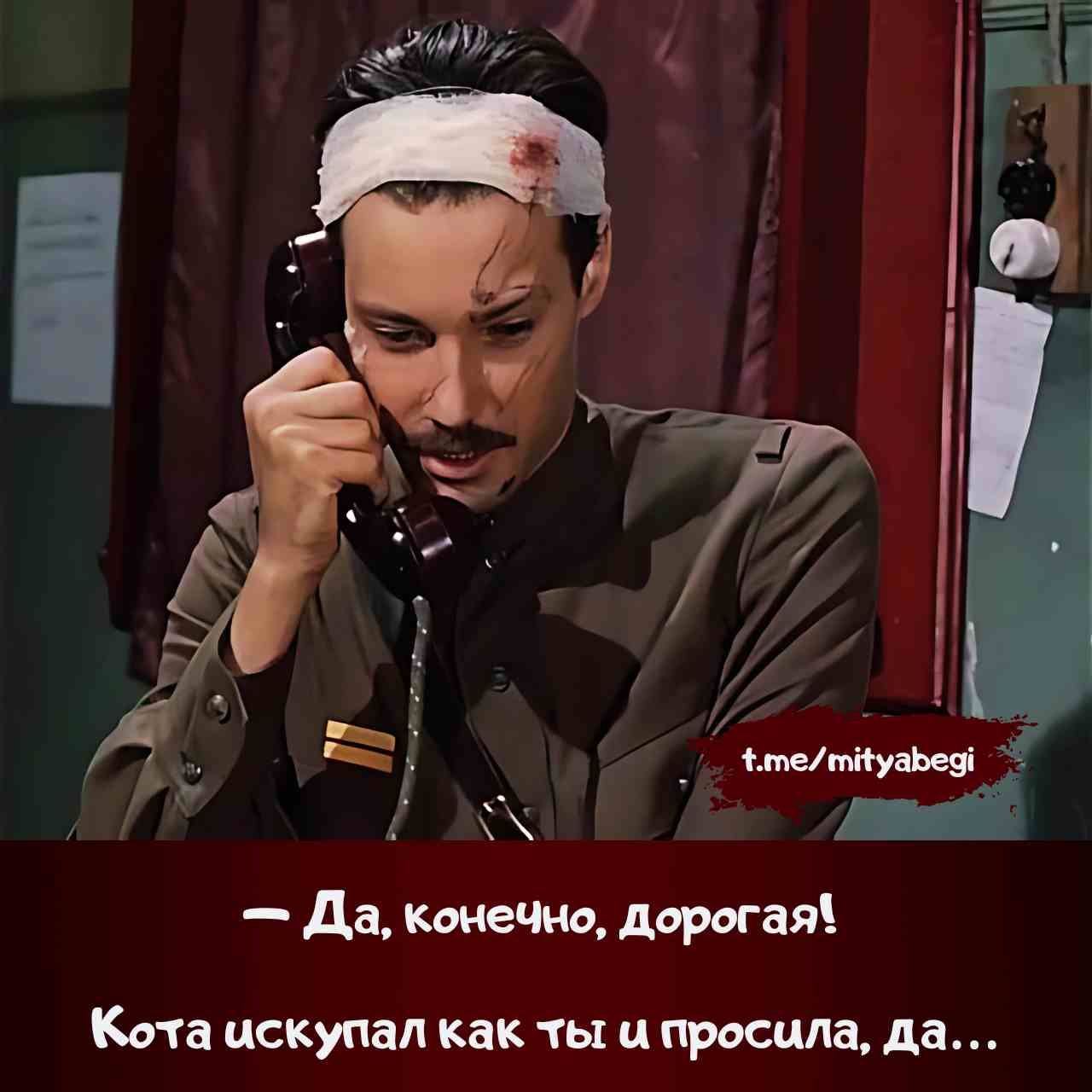 — Да, конечно, дорогая! Кота искупал как ты и просила, да...