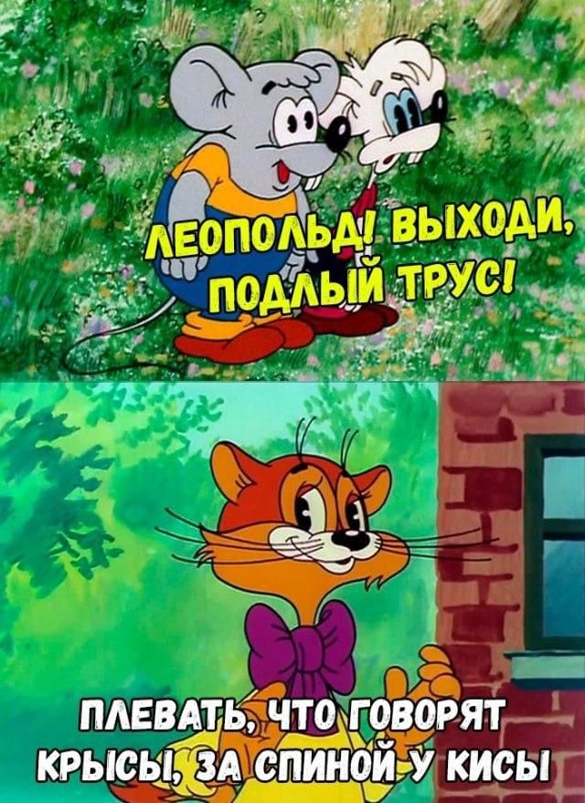 ЛЕОПОЛЬД! ВЫХОДИ, ПОДЛЫЙ ТРУС!
ПЛЕВАТЬ, ЧТО ГОВОРЯТ КРЫСЫ, ЗА СПИНОЙ У КИСЫ