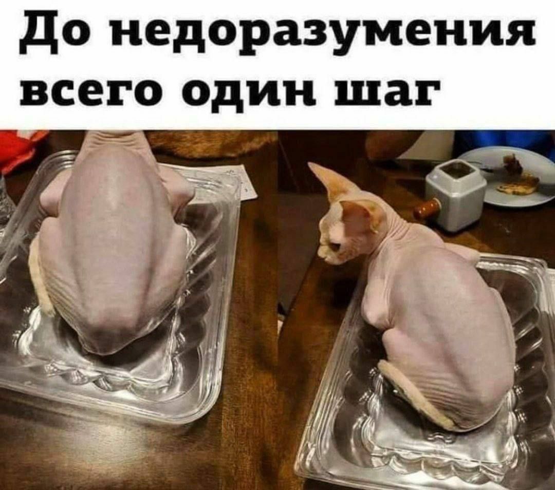 До недоразумения всего один шаг