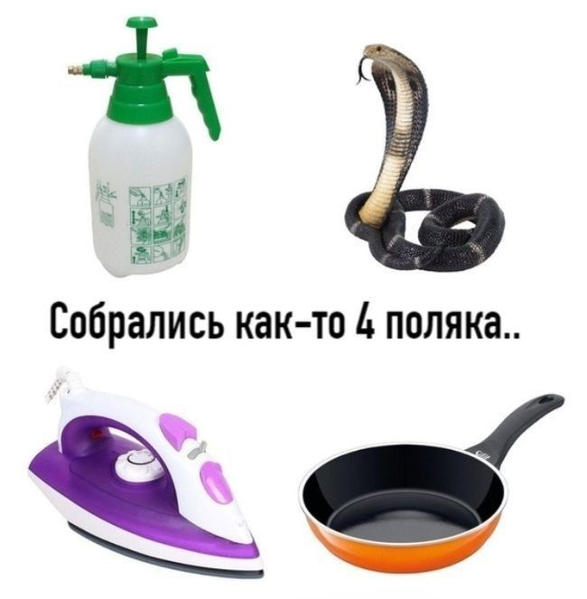 Собрались как-то 4 поляка..
