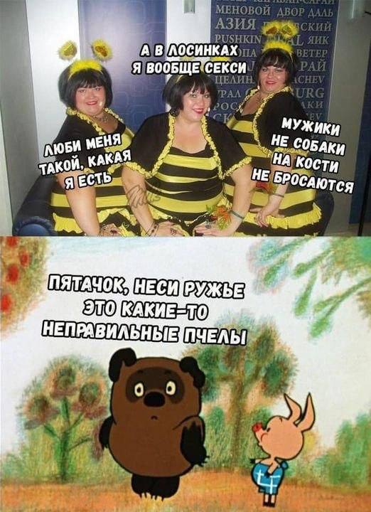 А в лосинках я вообще сексуальный
Любим меня такой, какая я есть
Мужики не собаки на кости не бросаются

Пятачок, неси ружье, это какие-то неправильные пчёлы