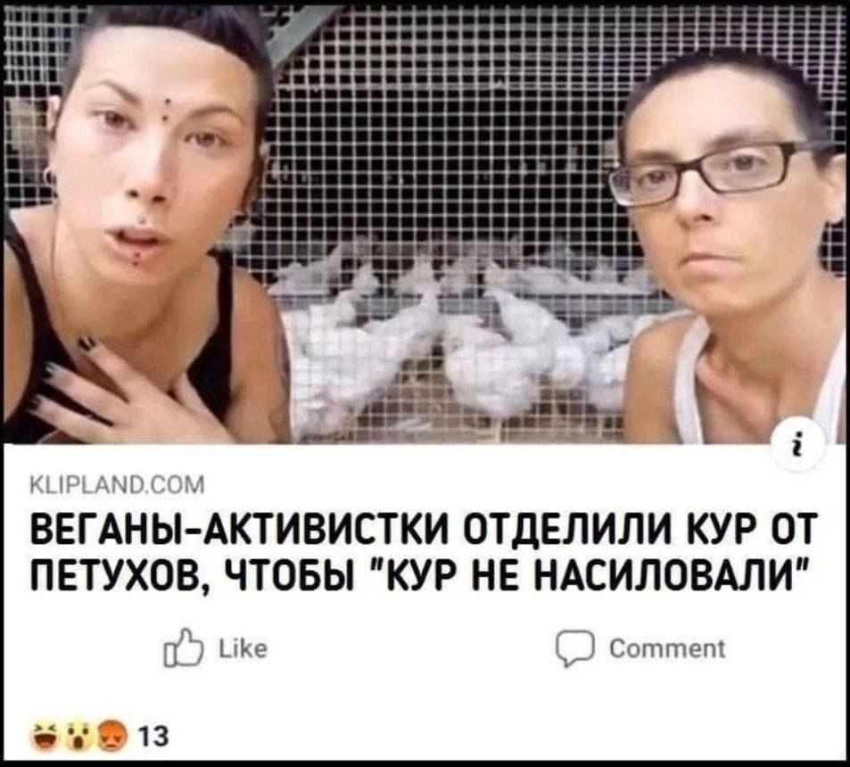 ВЕГАНЫ-АКТИВИСТКИ ОТДЕЛИЛИ КУР ОТ ПЕТУХОВ, ЧТОБЫ 