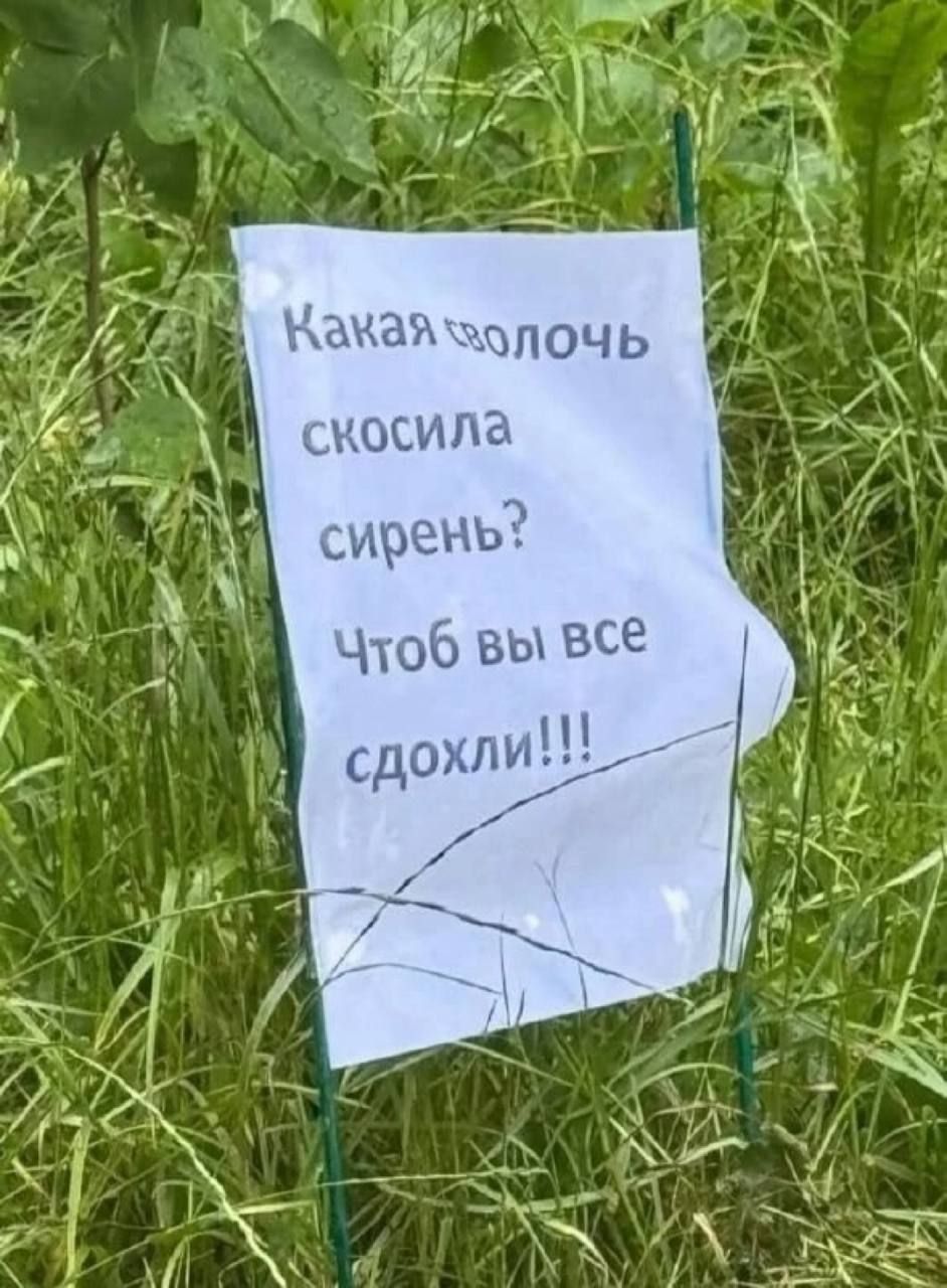 Какая сволочь скисила сирень? Чтоб вы все сдохли!!!