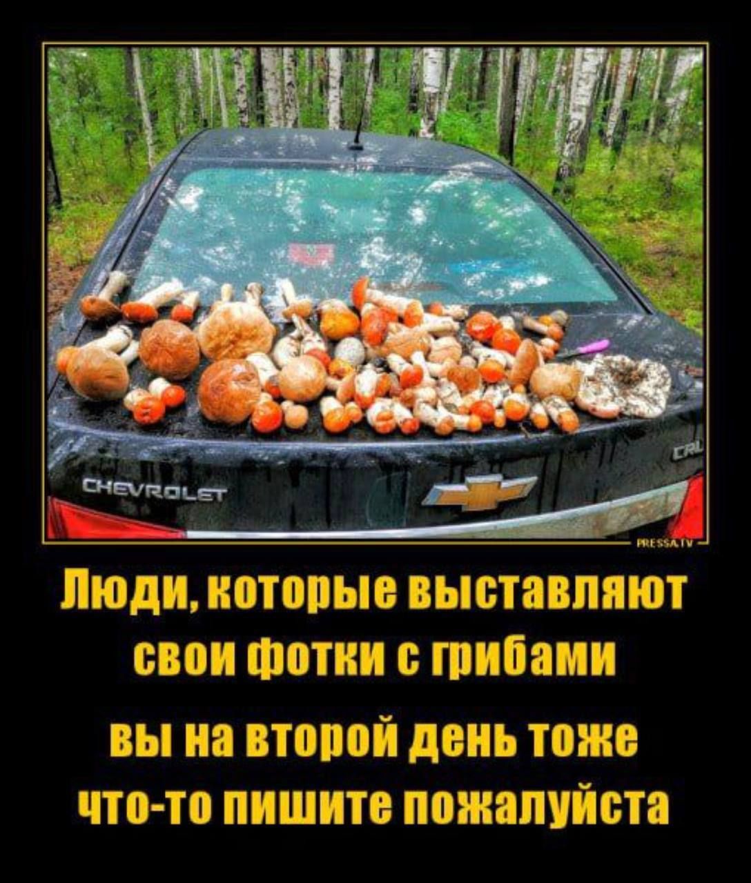Люди, которые выставляют свои фотки с грибами вы на второй день тоже что-то пишите пожалуйста