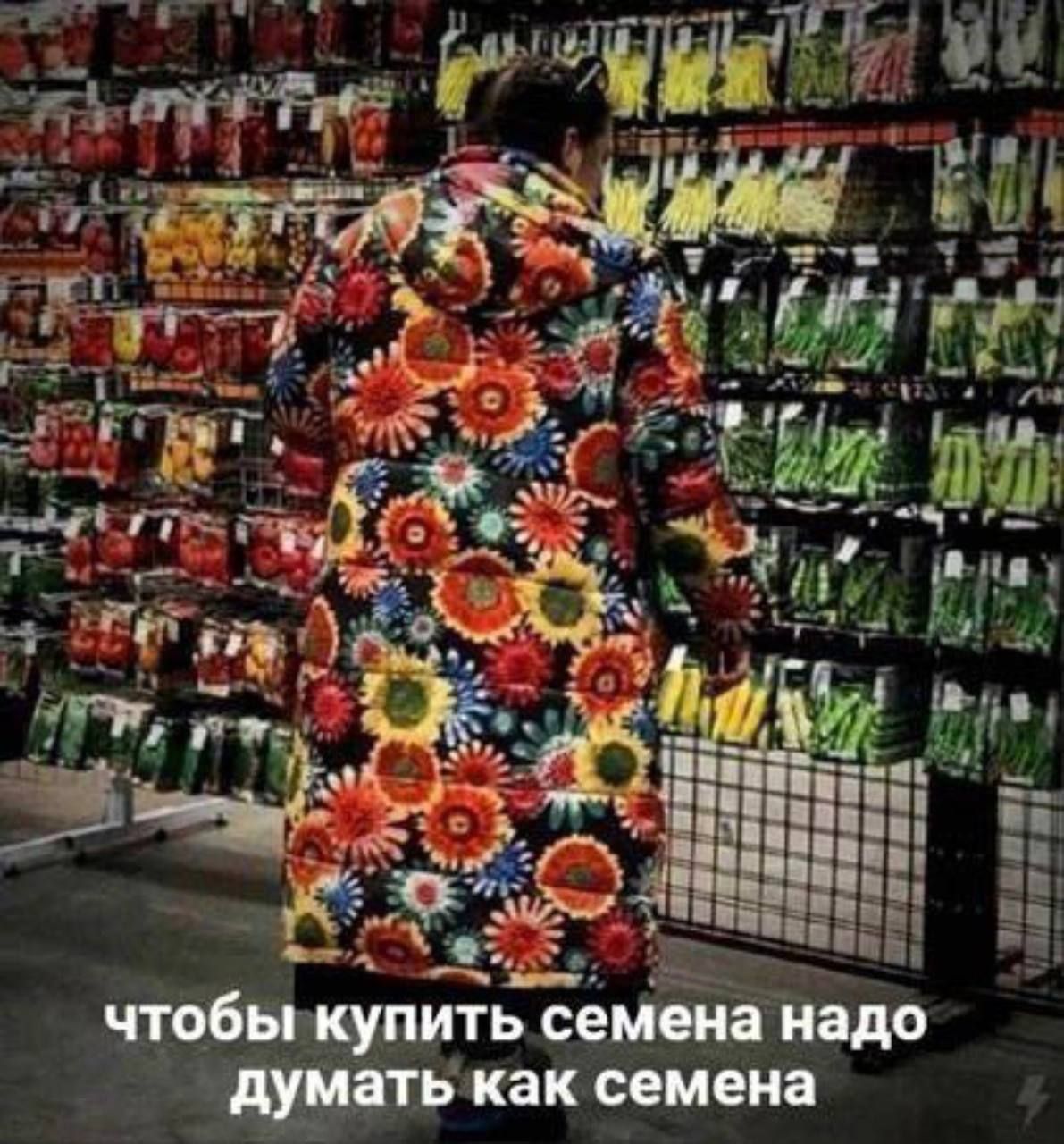 чтобы купить семена надо думать как семена